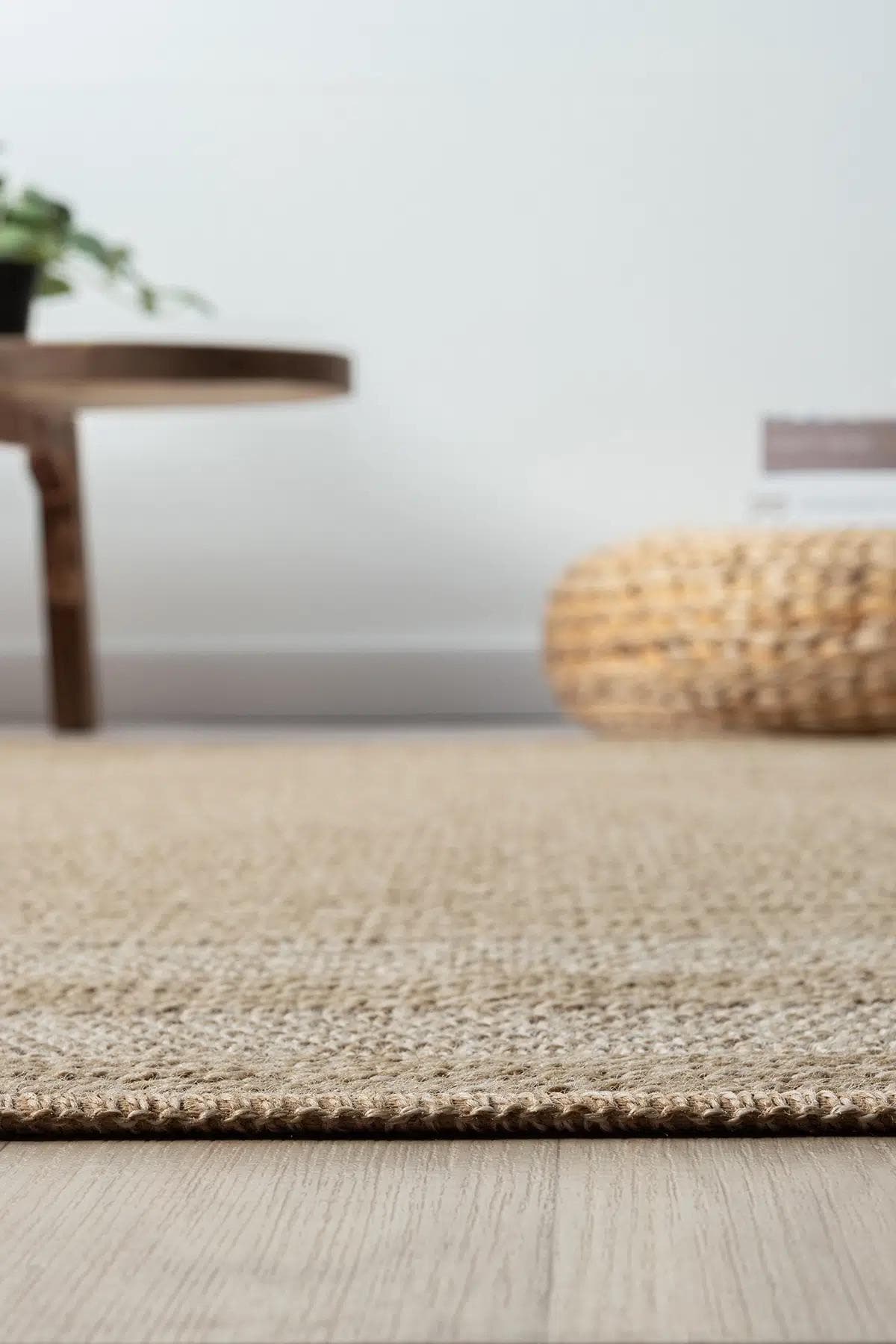 Beige Ivory Rectangular Rug, Textured Woven Border, Natural Jute Style Carpet